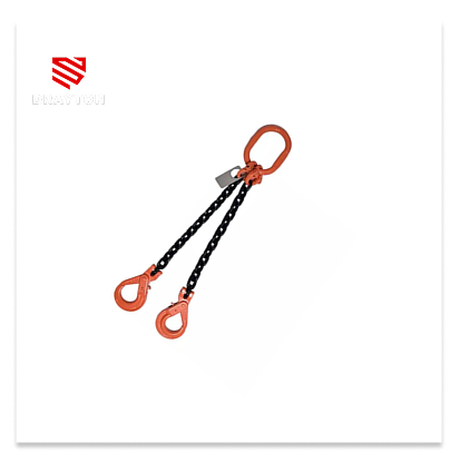 CHS-001 2 Leg Chain Sling